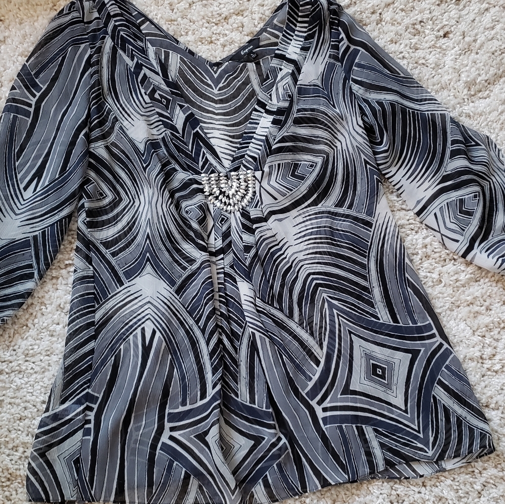 Express Sheer Chiffon Tunic